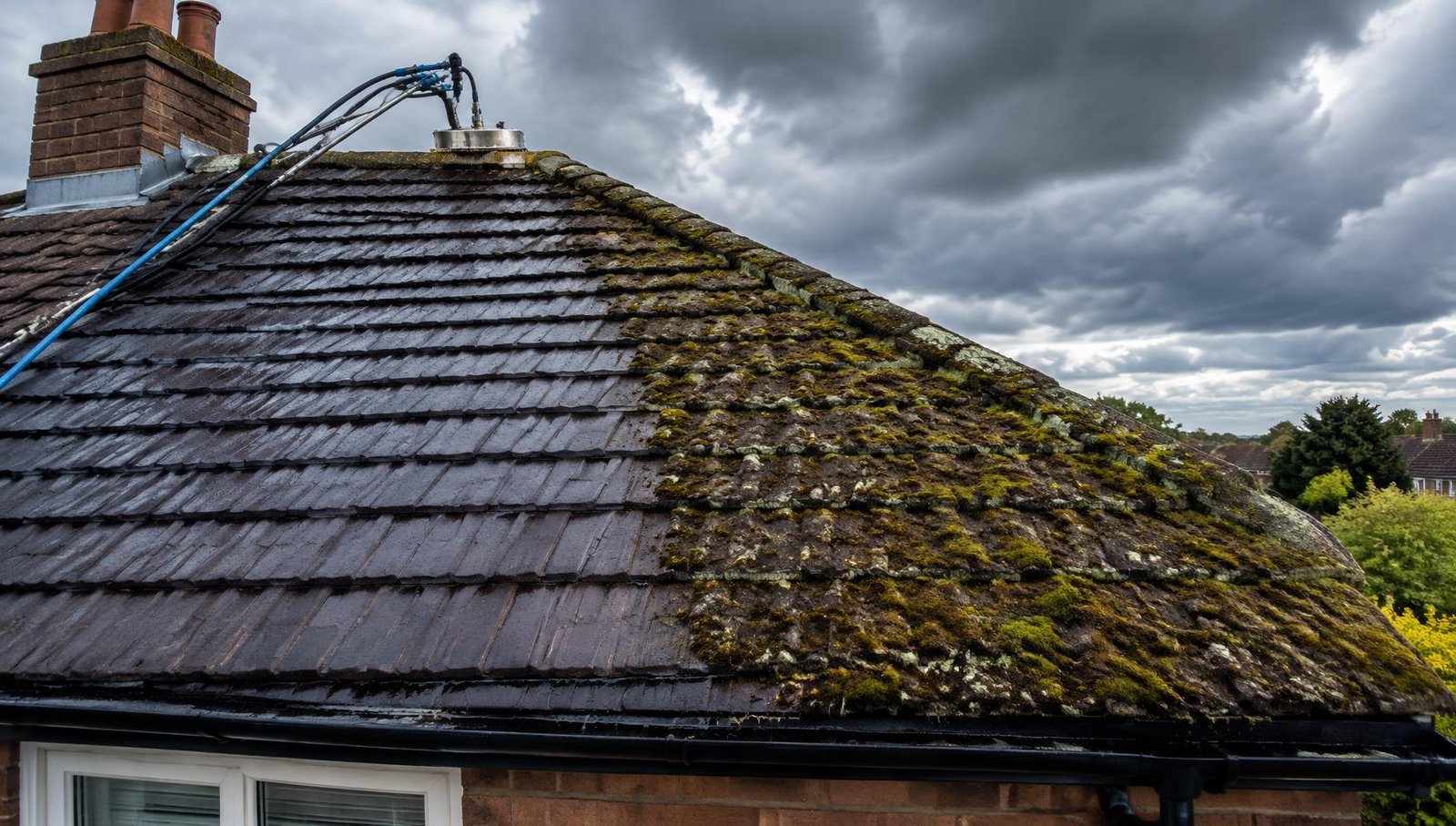 Roof Cleaning & Moss Removal